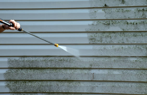 Mold Testing and Removal in Walker Mill, MD